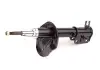 Амортизатор передній (газ) R Chery Eastar B11-2905020