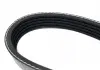 Ремень генератора Geely CK / GC6 / MK BOSCH E030000401 (фото 2)