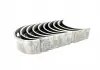Вкладиші корінні 0,25 Chery Amulet Aftermarket 480-1005012CA (фото 3)