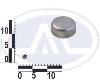 Заглушка ГБЦ RENAULT 7703075219