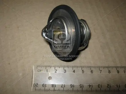 Термостат NISSAN 212306N20A (фото 1)