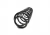 Пружина задня Chery Amulet Aftermarket A11-BJ2912011 (фото 2)