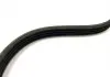 Ремень генератора Chery QQ Aftermarket S11-3701315 (фото 4)