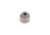 Сальник клапана (GW, 4G15) Aftermarket 1007100-EG01 (фото 1)