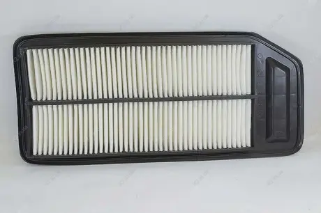 Фільтр повітряний BYDF6 Aftermarket EG-1109300