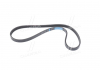 Ремень поликлиновой MOBIS (KIA, Hyundai) 25212-22030 (фото 1)