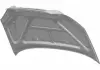 Капот Chery Tiggo Aftermarket T11-8402010-DY (фото 1)