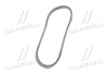 Ремень кондиционера Ланос гладкий клин (6PK850) GM 96486814 (фото 4)
