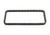 Цепь распредвала BMW 3/5/7 / X1 / X3 / X5 / X6 [N57 D30 A] 36075
