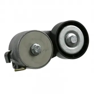 Натяжитель ремня Fiat Punto / Fiat Panda / Fiat Stilo FEBI 22376 (фото 1)