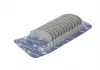 Вкладыши шатунные MB M272 2.5-3.5 V6 24V 04- (пр-во KS) Kolbenschmidt 37030600