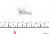 Роликовый модуль натяжителя ремня (ролик. Ремень) DAYCO KTB492 (фото 4)