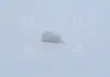 Клип крепления консоли центральной Hyundai MOBIS (KIA, Hyundai) 847471C000 (фото 1)