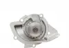 Комплект (реминьроликпомпа) Contitech CT 1140 WP1 (фото 16)
