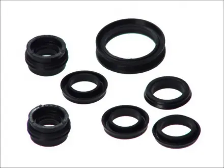 Ремонтный комплект Seinsa AUTOFREN D1 643