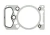 Прокладка головки цилиндра ELRING 569320 (фото 1)