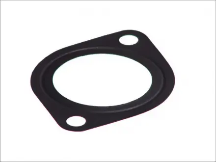 Прокладка водяної помпи ELRING 257830