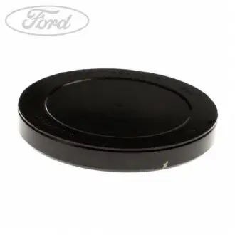 ЗАГЛУШКА масляные каналы FORD 1311152