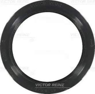 Уплотнительное кольцо VICTOR REINZ 81-35497-00