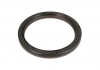 Уплотнительное кольцо VICTOR REINZ 81-36028-00 (фото 1)