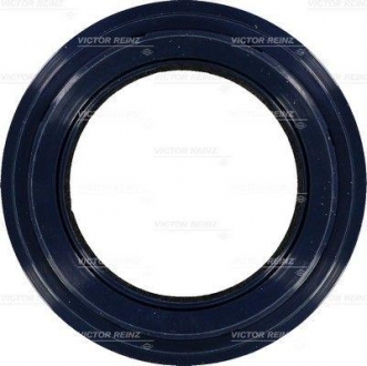 Уплотнительное кольцо VICTOR REINZ 81-53289-00 (фото 1)