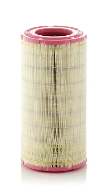Повітряний фільтр Mann-Filter MANN C24904/2 (фото 1)