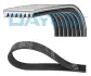 Ремень поликлиновой DAYCO 7PK2081 (фото 1)