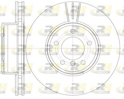 Тормозной диск ROADHOUSE 685310 (фото 1)