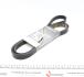 Ремень дорожный DAYCO 6PK2225HD (фото 1)