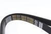 Ремень дорожный DAYCO 6PK2225HD (фото 2)