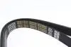 Ремінь генератора поліклиновий DAYCO 6PK2225HD (фото 2)