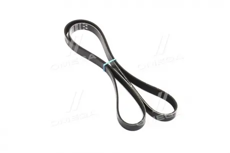 Ремень дорожный Gates 6PK1600XS