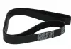 Доріжковій пас DAYCO 8PK1535HD