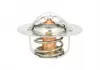 Термостат THERMOTEC D20301TT