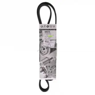 Пас поліклиновий VAG 03G903137E