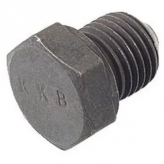 Фото 1 - пробка рiзьбова VAG N90288901 Пробка рiзьбова VAG N90288901 (фото 1)