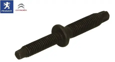 Болт крепления форсунки PSA DW10BTED4 Peugeot/Citroen 198262