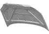 Капот FL CHERY T11-8402010fl-dy (фото 2)