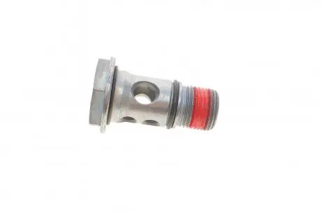 Болт пустотелый Amarok, Caddy, Golf, Jetta, Tiguan, Polo / A1, A3, TT / Fabia, Octavia, Superb 1.6, 2.0 (06-) VAG WHT003496
