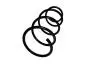 Пружина передняя BYDF3 Aftermarket BYDF3-2905202 (фото 3)