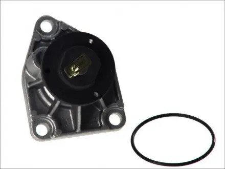 Водяной насос HEPU P320