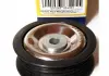 Ролик модуля натягувача ременя MAGNETI MAGNETI MARELLI MPQ1260 (фото 1)