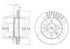 Тормозной диск.комплект 2шт. Delphi BG2440C (фото 1)
