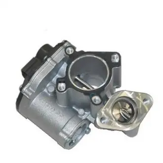 Клапан реціркуляції газів MAGNETI MAGNETI MARELLI EV043 (фото 1)