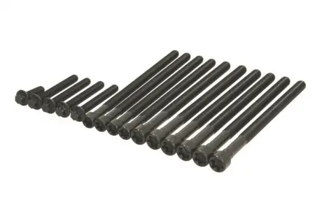 Болты головки блока VICTOR REINZ 14-10010-01