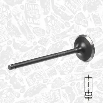 Выпускной клапан ET ENGINETEAM VE0113