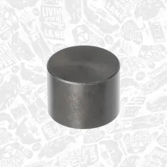 Гидрокомпенсатор ET ENGINETEAM ZM0078 (фото 1)