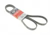 Ремень поликлиновой GATES 6PK1780