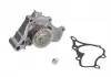 Насос охолоджувальної рідини, охолодження двигуна THERMOTEC D15028TT (фото 2)