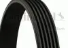 Ремень дорожный Contitech 6PK2230